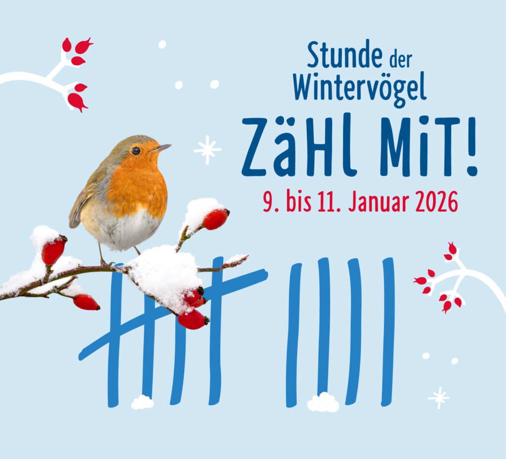 Einladung zur Stunde der Wintervögel in der Nachtigallenoase Einladung zur Stunde der Wintervögel in der Nachtigallenoase